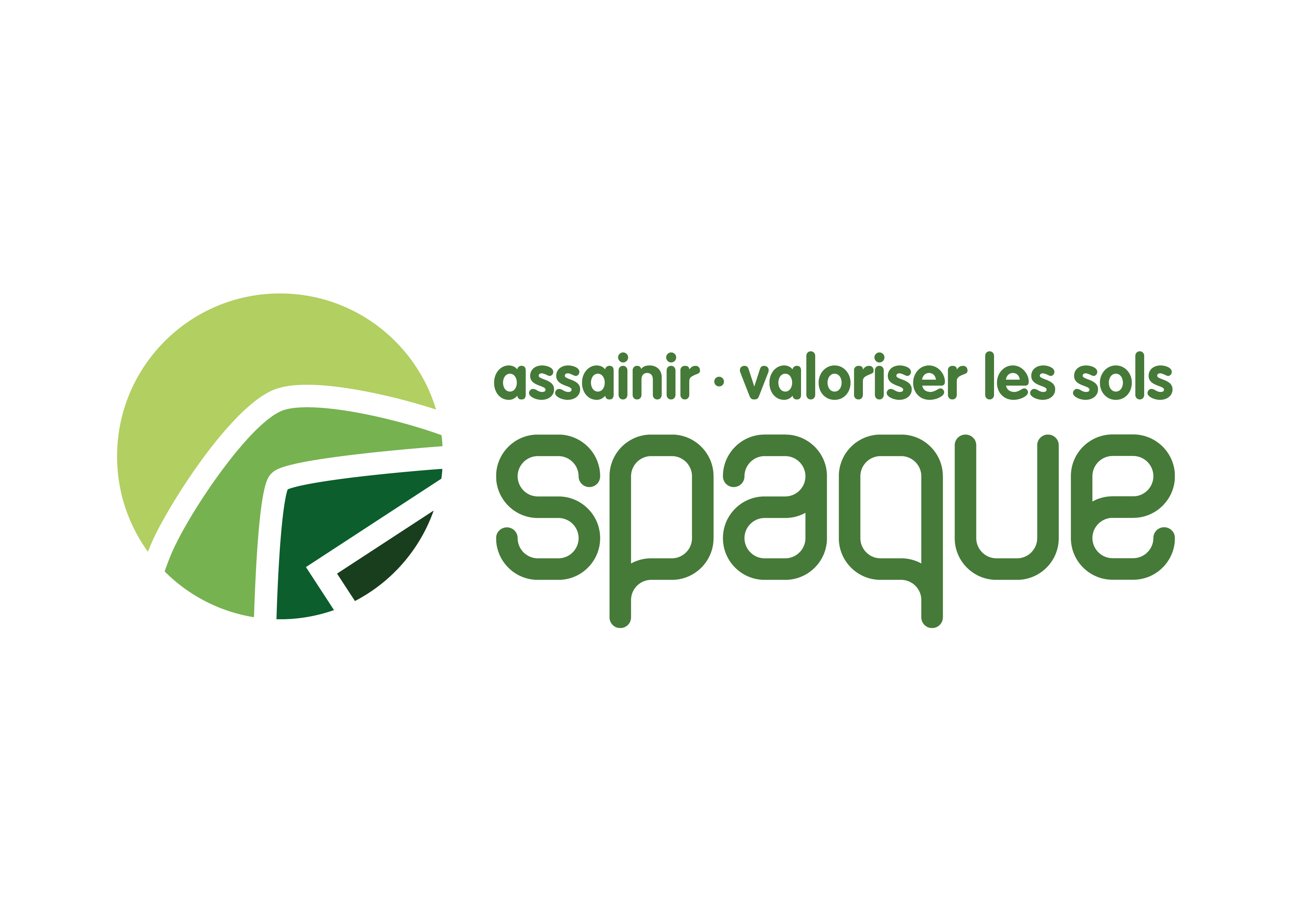 7884 Spaque Logo V4 1