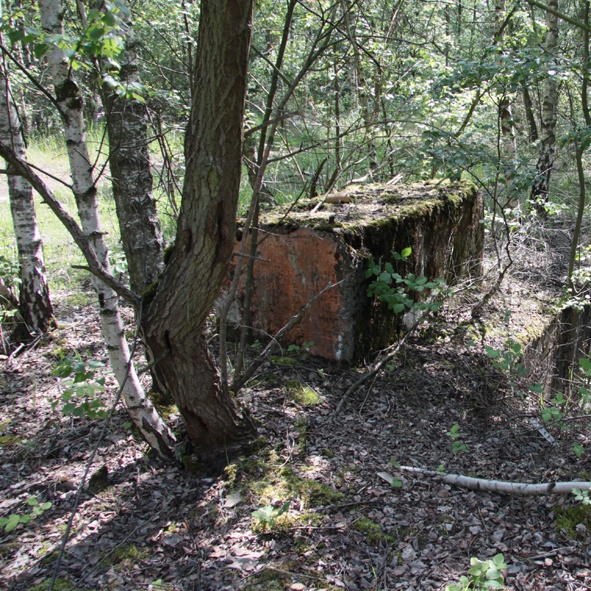 Charleroi : Spaque Réhabilite Les 24 Hectares De L’ancienne 