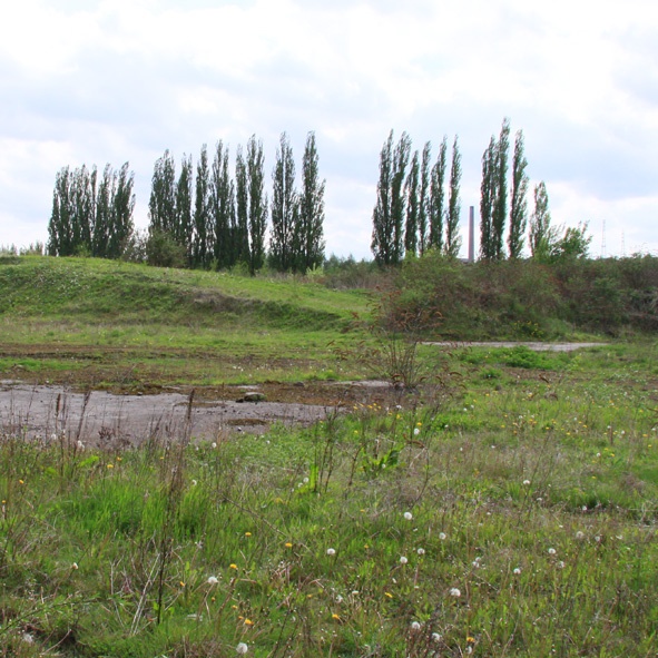 Charleroi : Réhabilitation Des Sols Pollués Du Site 