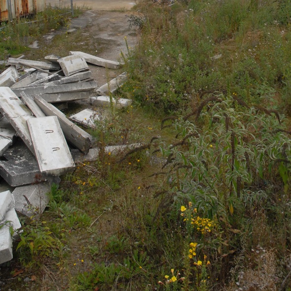 Charleroi : Réhabilitation Des Sols Pollués Du Site 