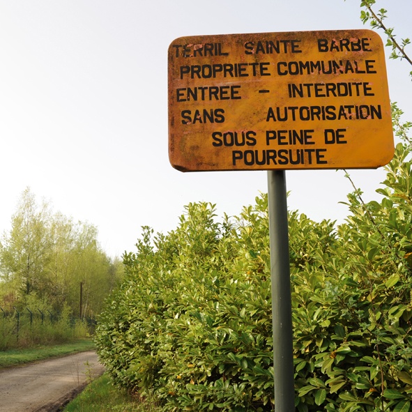 Binche : Réhabilitation Du Site 