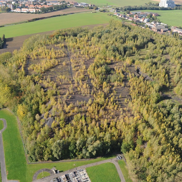 Binche : Réhabilitation Du Site 