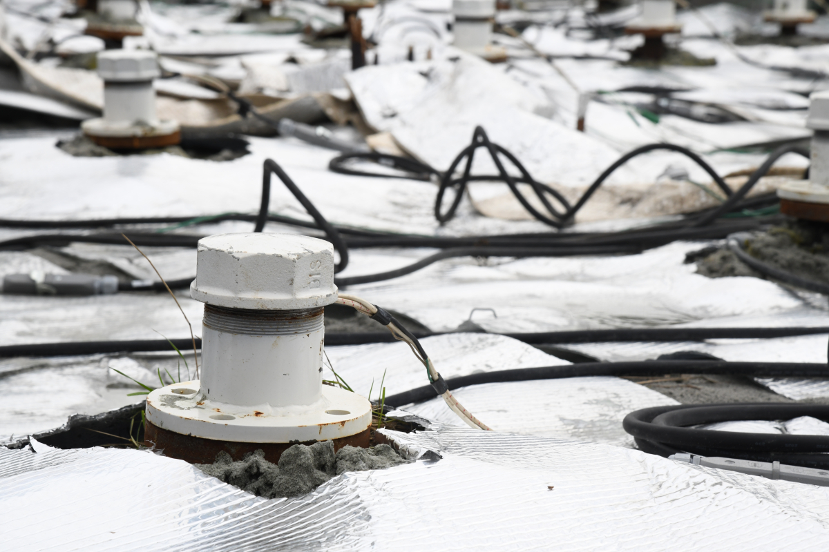 Test Renouée 2025.12.10 14