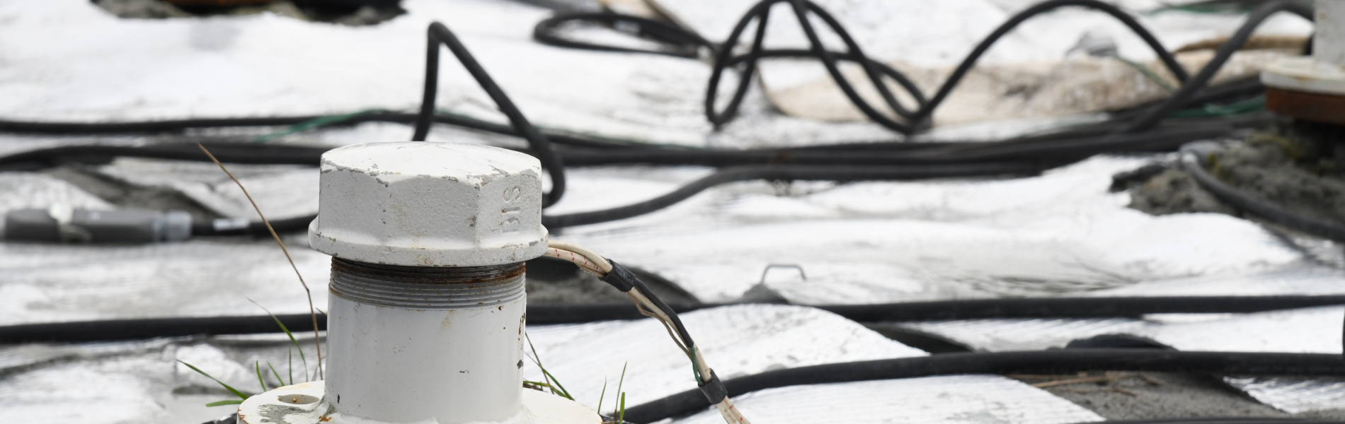 Test Renouée 2025.12.10 14