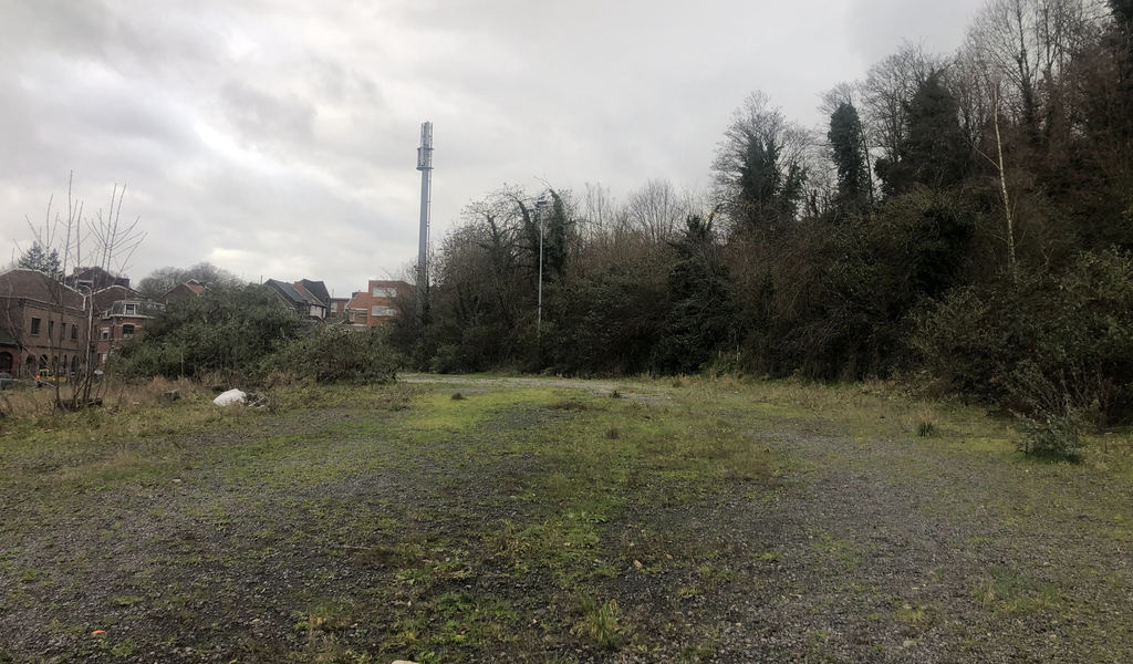 20240213 Img 5332 08 17 54