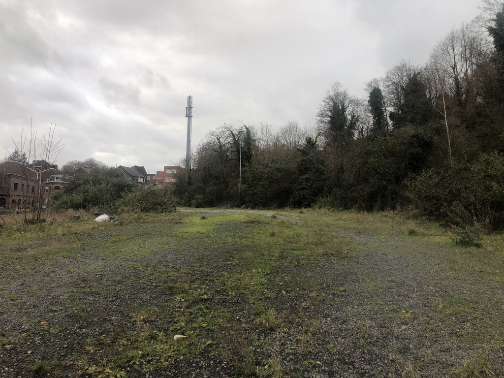 20240213 Img 5332 08 17 54