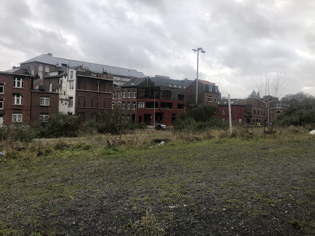 20240213 Img 5333 08 17 54