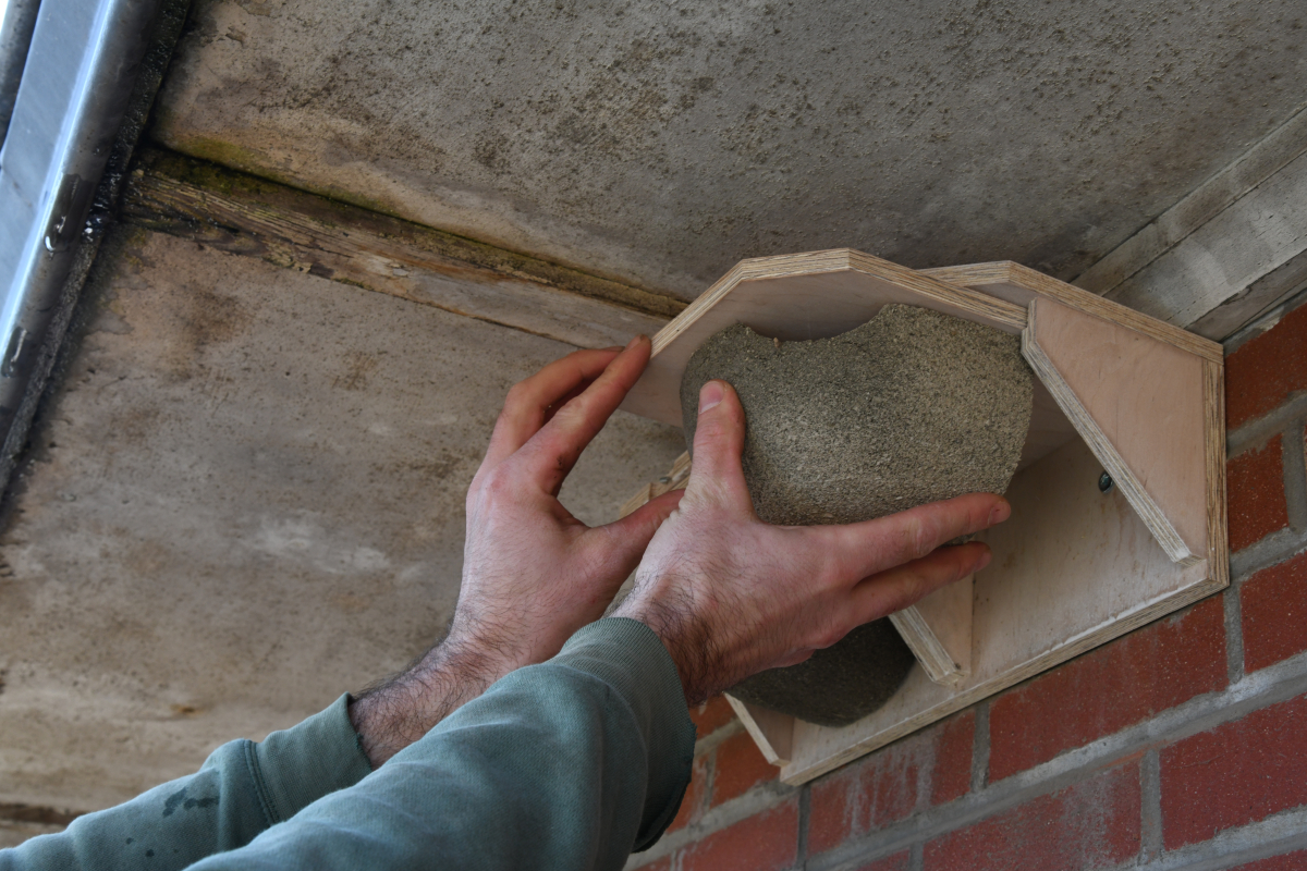 P 00037 2026.03.04 23