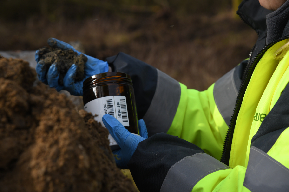 P 00046 2026.03.07 101