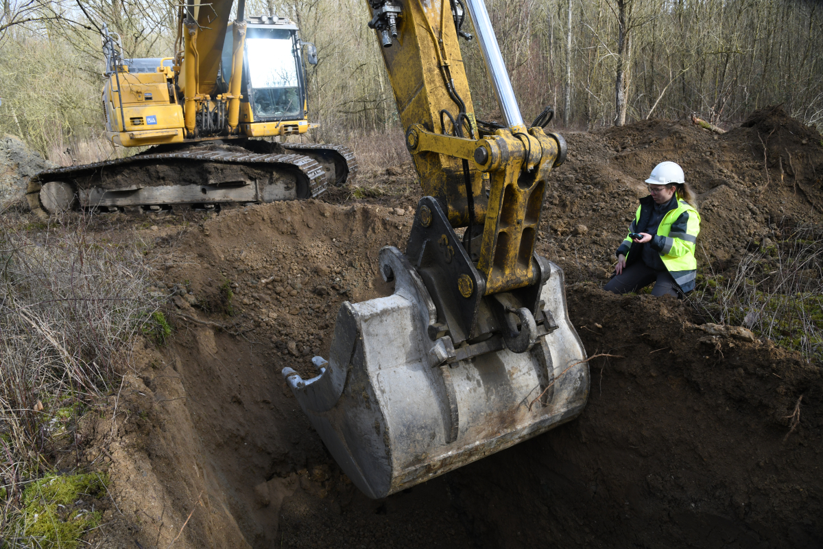 P 00046 2026.03.07 114