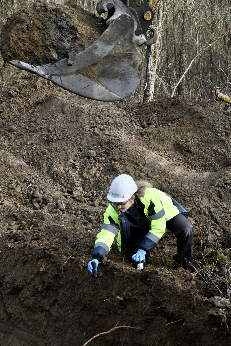 P 00046 2026.03.07 95